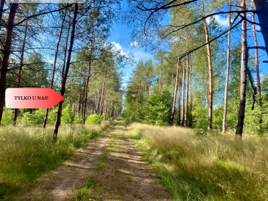 Działka rekreacyjna Chwarzno