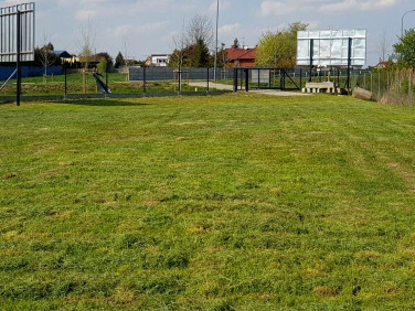 Działka przy lesie