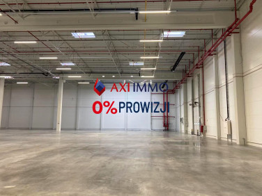 Budynek użytkowy Brzesko wynajem