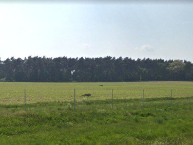 Działka inwestycyjna Niepruszewo