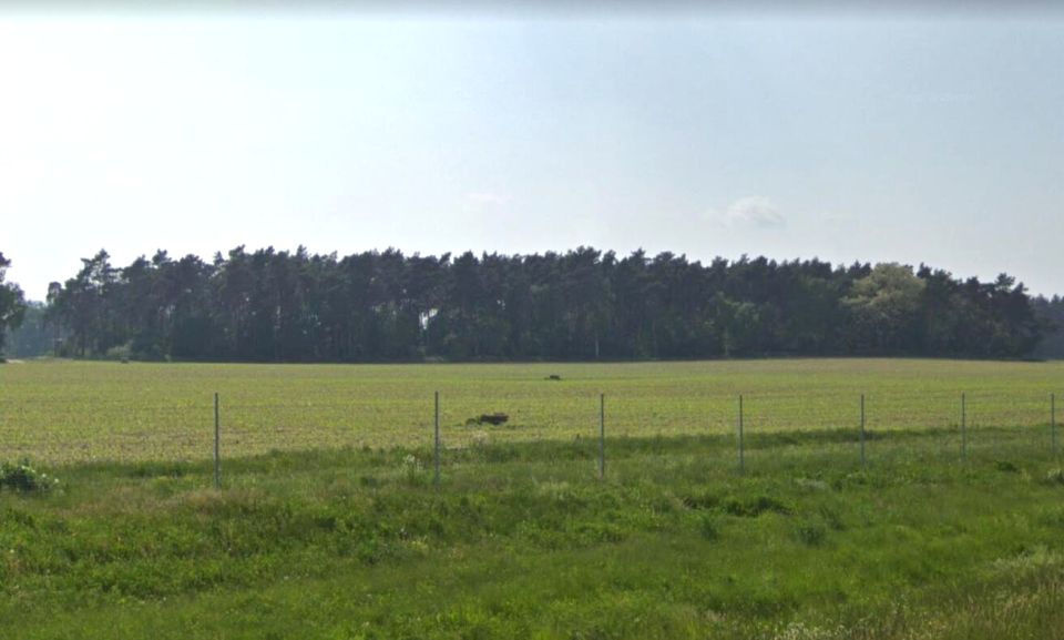Działka inwestycyjna Niepruszewo
