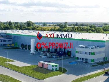 Budynek użytkowy Pruszków wynajem