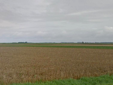 Działka inwestycyjna Jarocin