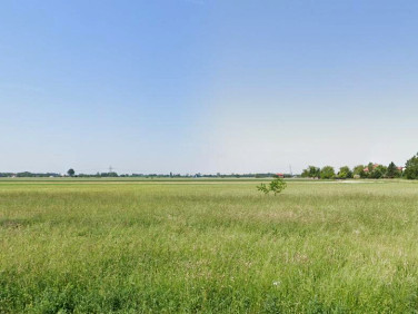 Działka inwestycyjna Brójce