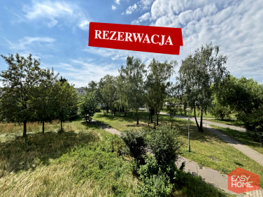 Mieszkanie przy lesie