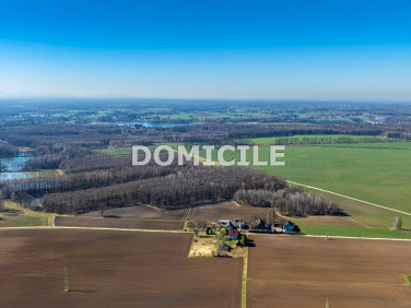 Działka budowlana Studzionka