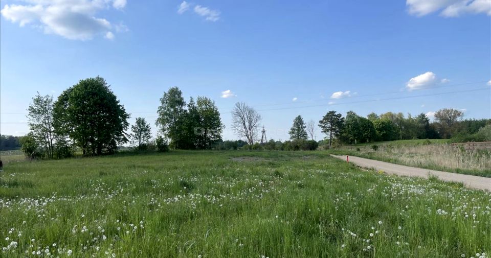 Działka nad jeziorem
