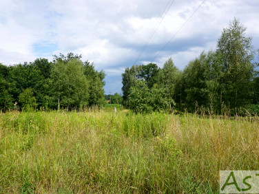 Działka Liszki