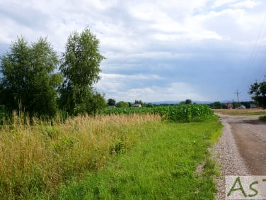 Działka Liszki