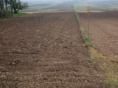 Działka budowlana Dalewice