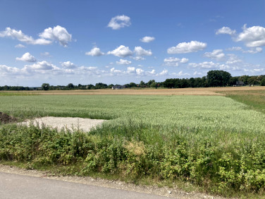 Działka budowlana Lubnów