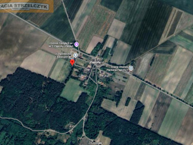 Działka siedliskowa Paproty