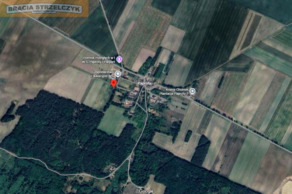 Działka siedliskowa Paproty