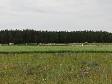 Działka budowlana Gniezno