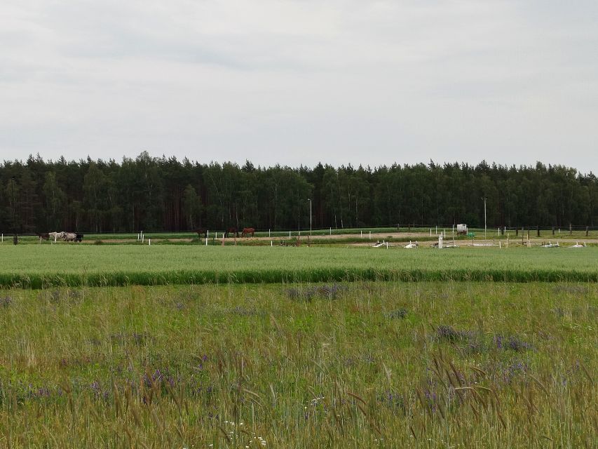 Działka budowlana Gniezno