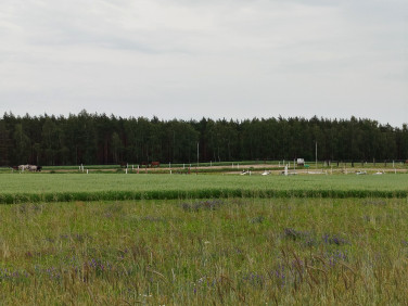 Działka budowlana Gniezno sprzedam