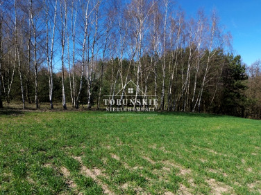 Działka Stajenczynki