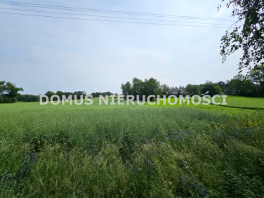 Działka rolna Gałkówek-Parcela