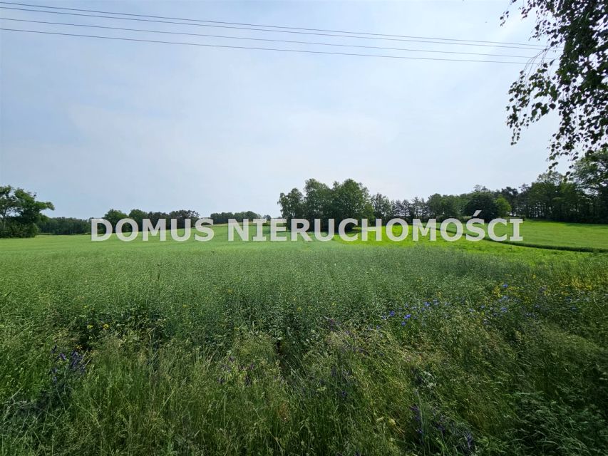 Działka rolna Gałkówek-Parcela