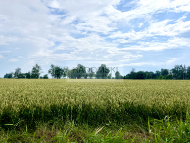 Działka budowlana Orłowo sprzedam
