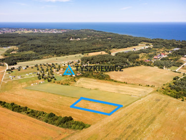 Działka przy lesie
