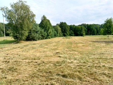 Działka budowlana Bednary