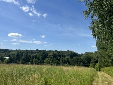 Działka budowlano-rolna Czułów