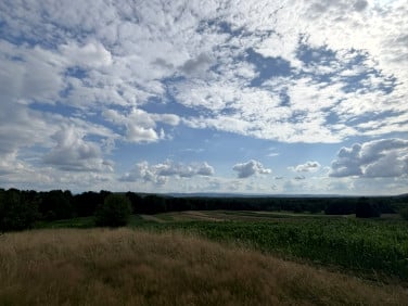 Działka rolna Czernichów