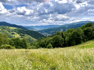 Działka Ochotnica Dolna