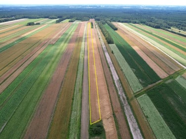 Działka rolna Aleksandrów