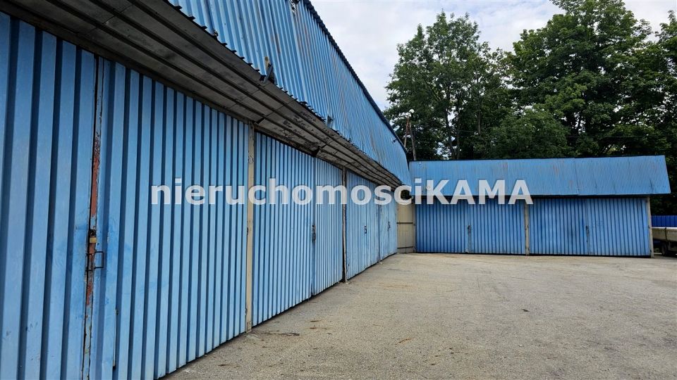 Ogrodzona działka wynajmę