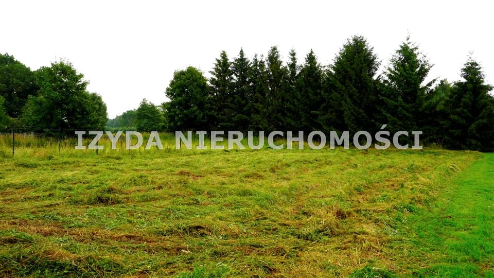 Zdjęcie 3