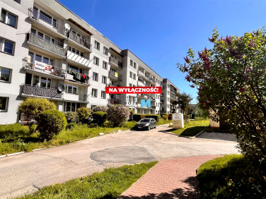 Mieszkanie Kielce
