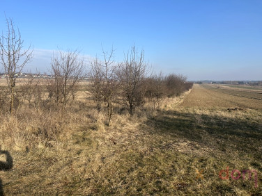 Działka Domaszowice