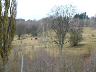 Działka budowlana Krzyżanów