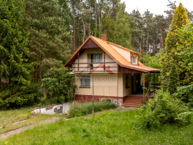Działka rekreacyjna Borkowo
