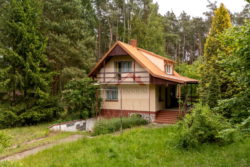 Działka rekreacyjna Borkowo