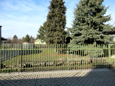 Działka rekreacyjna Ząbki