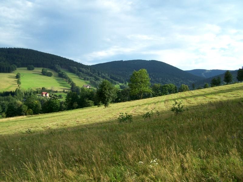 Zdjęcie 2