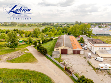 Lokal Kłoda