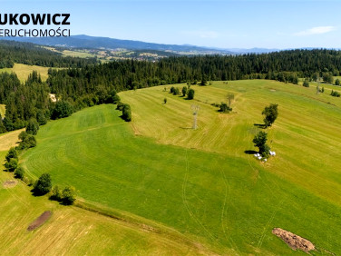 Działka Pieniążkowice