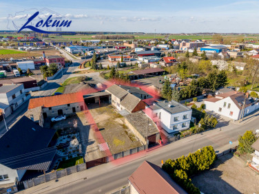 Lokal Święciechowa