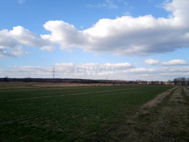 Działka budowlana Grzymalin sprzedam