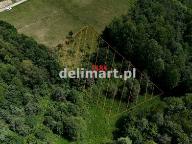 Działka Wydrna