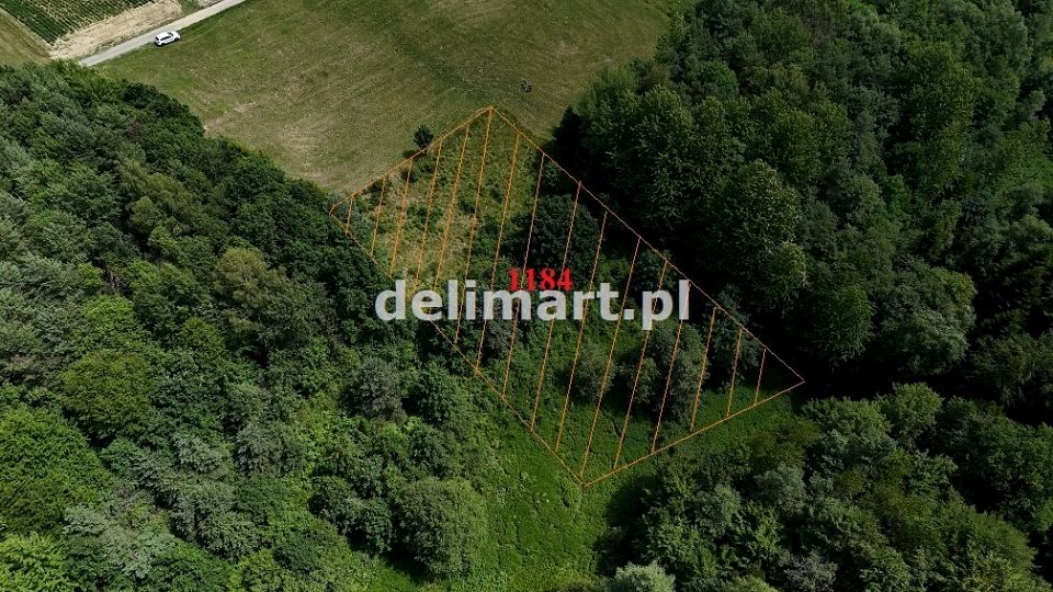 Działka Wydrna