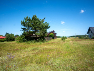 Działka inna Zelewo
