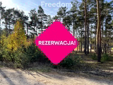 Działka budowlana Czarne Błoto