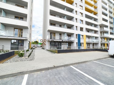 Lokal Rzeszów