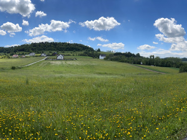 Działka Siołkowa
