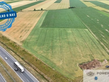 Działka inwestycyjna Święciechowa